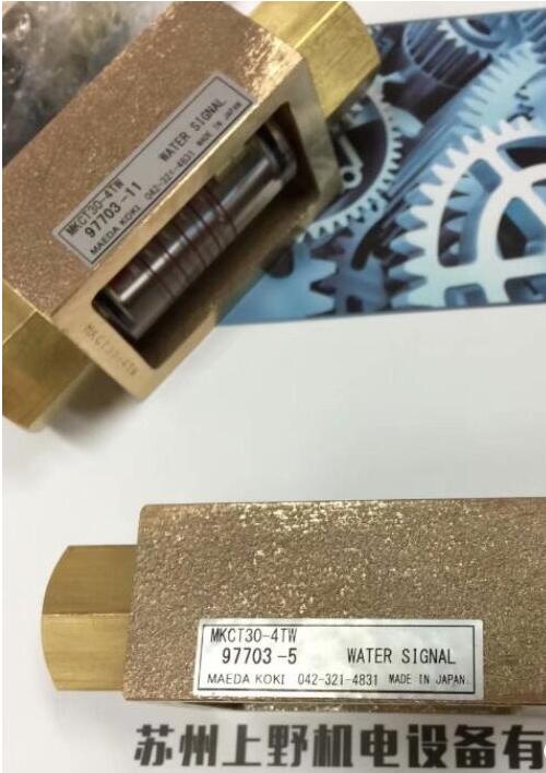 前田流量计型号MKCT30-4TW