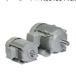 日本日立电机型号：TFOA-LKK-22KW-4P-200V...