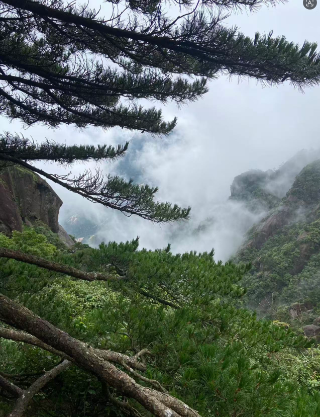 1786947845.png 登临黄山.png